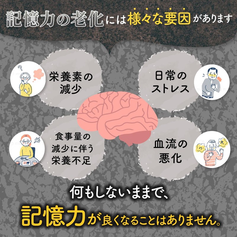 メモいらず 脳の栄養素 記憶力 物忘れ オールインワンサプリメント 【イチョウ葉 120mg/日】【ホスファチジルセリン 30mg/日】【DHA 105mg/日】【EPA 10mg/日】【フェルラ酸