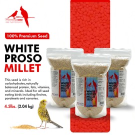 Morning Bird White Proso Millet Bird Seed Bag 4.5 lbs (3-Pack, 1.5 lbs Each) – Healthy & Nutritious Pet Bird Food is Ideal for Seed Eating Birds - Parakeets, Finches, Cockatiels