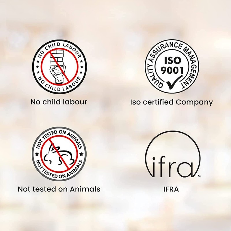 HEM Cinnamon Masala Incense Sticks – 12 Packets (15g Each)