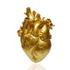 Heart Vase, Anatomical Flower Pot, Decoration for Living Room and