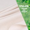 OPULANE St Patricks Day Pillow Covers 18x18 Set of 4