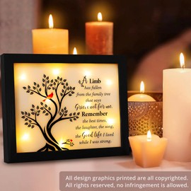 Fabuday LED Shadow Box - Modern LAMP, Wood Material, Fallen Limb Color, Sympathy Gift for Loss of Loved One