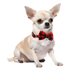 Breakaway - Collar de gato con campana y lazo, paquete de 2 collares de gatito a cuadros con campana, collares de cachorro con pajarita para perros pequeños y pequeños, color rojo y blanco