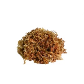 Peruvian Sphagnum Moss by Orchid Nerd 1 Kilo