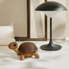 Spring Copenhagen Slowy Large Wooden Turtle Chresten Summer