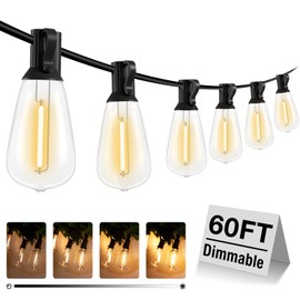 litogo 60FT LED Outdoor String Lights with Dimmer, Waterproof Patio Lights with ST38 Vintage Edison Bulbs, Warm White Outside Hanging Light with Timer for Yard Gazebo Party