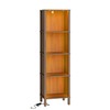 Apetaccat Book Shelf with LED Lights, Modern 4-Tier Bookcase, Open