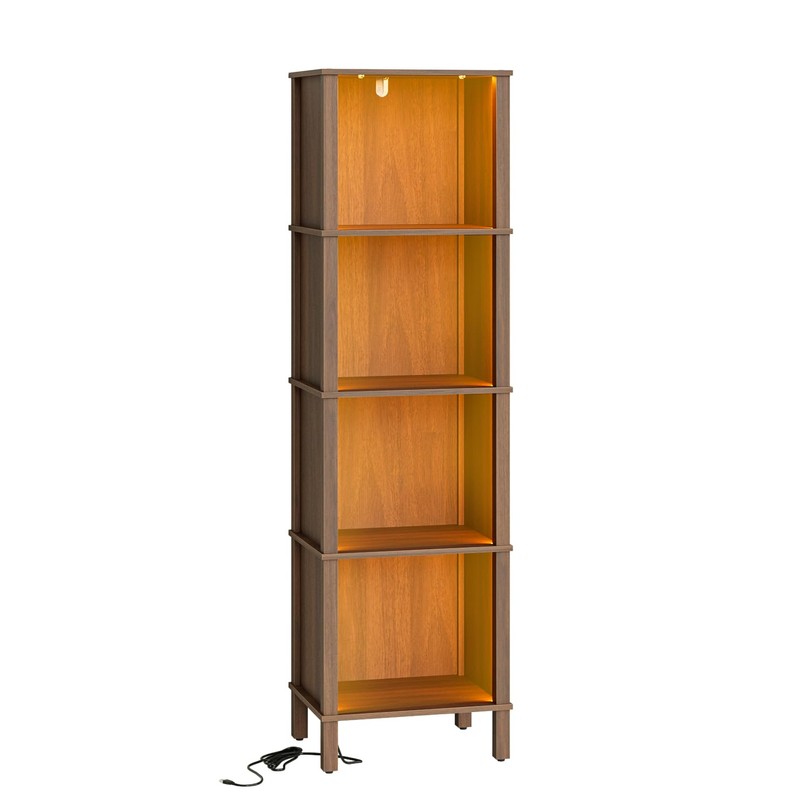 Apetaccat Book Shelf with LED Lights, Modern 4-Tier Bookcase, Open