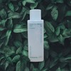 Innisfree 이니스프리 그린티 스킨 포맨 150mL Innisfree Green Tea Skin for Men 150mL