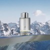 Montblanc Platinum