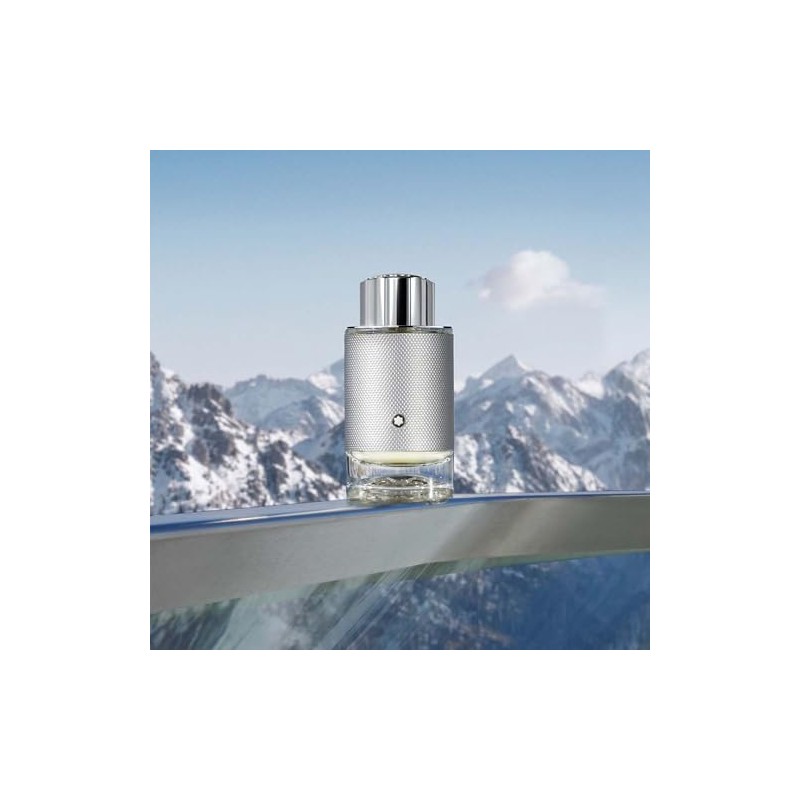 Montblanc Platinum