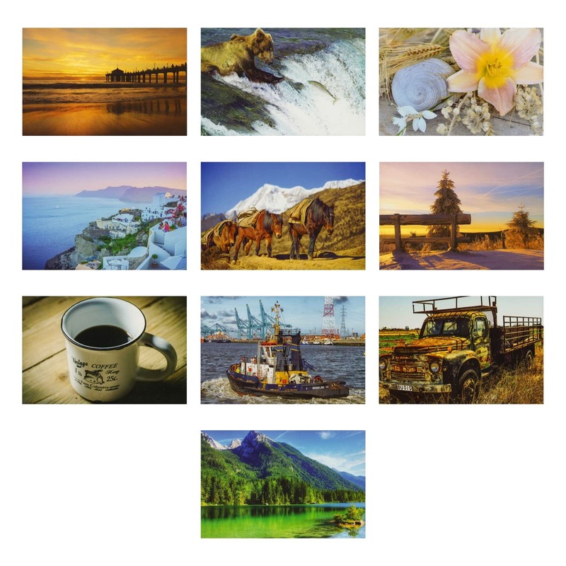 BEST PAPER GREETINGS 4x6 Blank Postcard Set - Photo Postcards