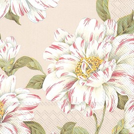 Ideal Home Range 20 Count Cocktail Napkins, Linen Cecilia, 5" x 5"