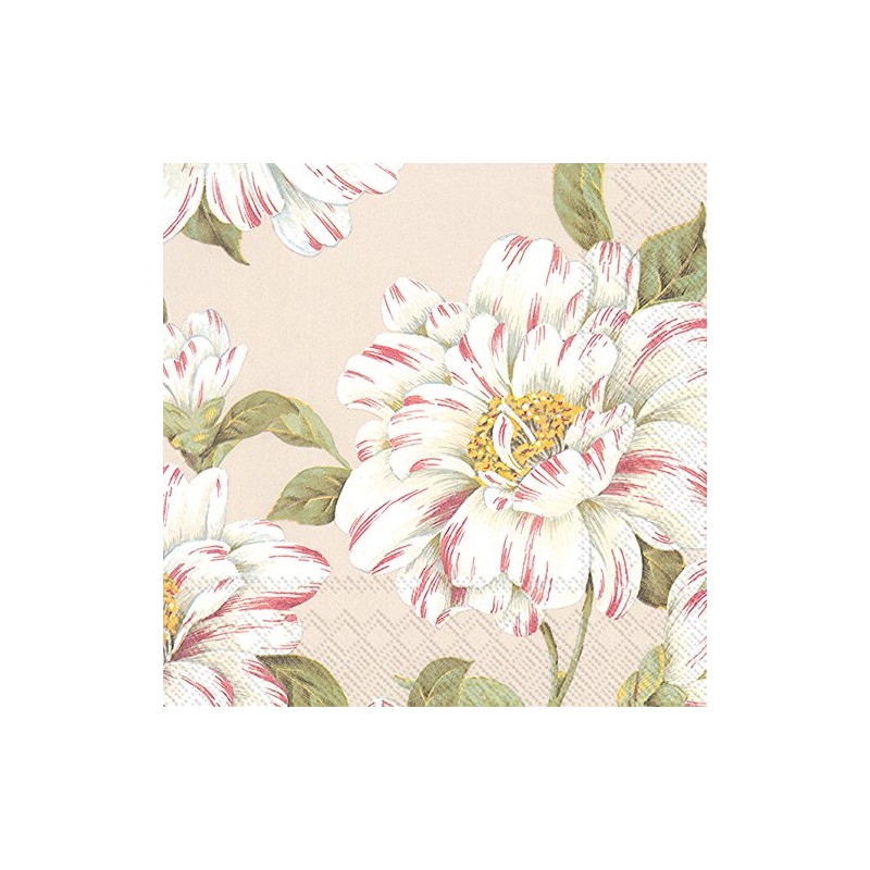 Ideal Home Range 20 Count Cocktail Napkins, Linen Cecilia, 5"