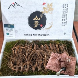 VDG Cultivated Mountain Ginseng, 5-7 Years Old, Grade 2 Medium 25 Roots