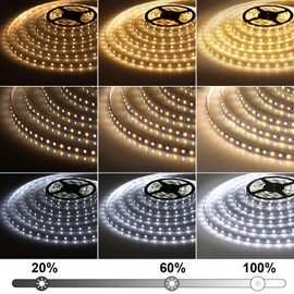 QENLAI 66ft LED Strip Lights, 2700K-6500K Tunable White LED Light Strip with Remote and Plug, 12V 2400 LEDs Dimmable Cuttable Led Tape Light for Kitchen Cabinet Bedroom Ceiling Lighting(2pcs of 33ft)