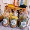 10 Piezas De Corcho Corcho Cónico Vino De Madera/Tapón De