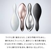 ReFa AILE BRUSH (Silver)
