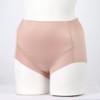 Gunze EF1200H Women's Girdle, Light Pans, Shorts, New Beige