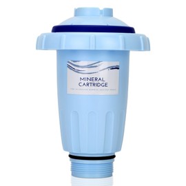 W28175 Replacement Cartridge for Nature2 Express Mineral System - Fits In-Ground & Above-Ground Pools (Up to 25,000 Gallons); Also Compatible with W20171, W20080, W26775 Models