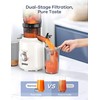 Ganiza Juicer Machines, Cold Press Juicer with 4.3" Large Feed
