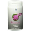 Avitale Red Clover Capsules 500 mg Pack of 60 (1