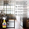 Invisible Shield Multi Surface Cleaner, Deodorizer with Hydrogen Peroxide- 32