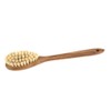 Iris Hantverk Oak and Horse Hair/Tampico Bath Brush with Handle