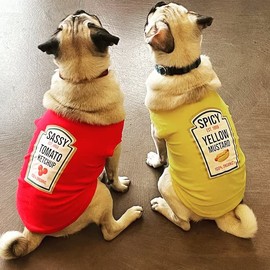 SUEOSU Condiments Shirts for Pet Dogs Cats - Matching Mustard Ketchup Relish Condiments Dog Costumes Tshirts (Small, Yellow)