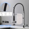 Fapully Kitchen Faucet with Pull Down Sprayer,Commercial Single Handle Kitchen