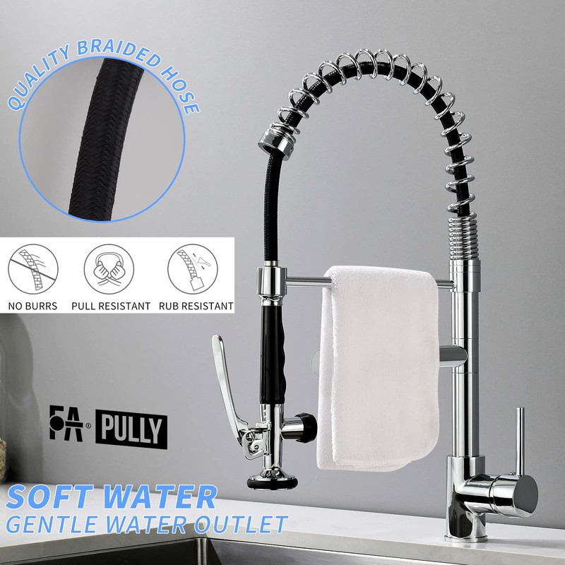 Fapully Kitchen Faucet with Pull Down Sprayer,Commercial Single Handle Kitchen