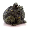 Home & Garden TOAD SMALL Polyresin Toad Hollow 99889 Green