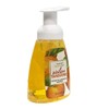 Nyassa Sicilian Tangerine Foaming Handwash 260ml Sulphate and Paraben Free