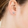 Sterling Silver Pig Face Stud Earrings - Size: 7mm. Gift