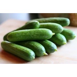 Home Grown Cucumber Ashly HEIRLOOM 50+ seeds 100% organic Non GMO Grown in USA
