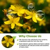 4 oz. St Johns Wort Herb Herbal Tea (Hypericum) -