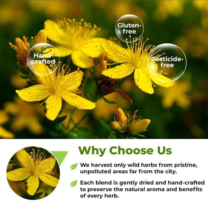 4 oz. St Johns Wort Herb Herbal Tea (Hypericum) -