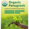Pure Co Fenogreco Orgnico Cpsulas Veganas 60 Cpsulas