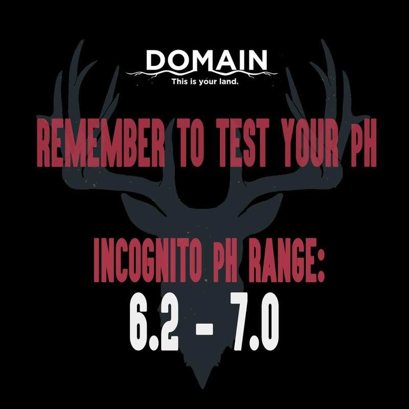 Domain Outdoor Incognito Deer Plot Seed, 1/4 Acre, Create Concealment