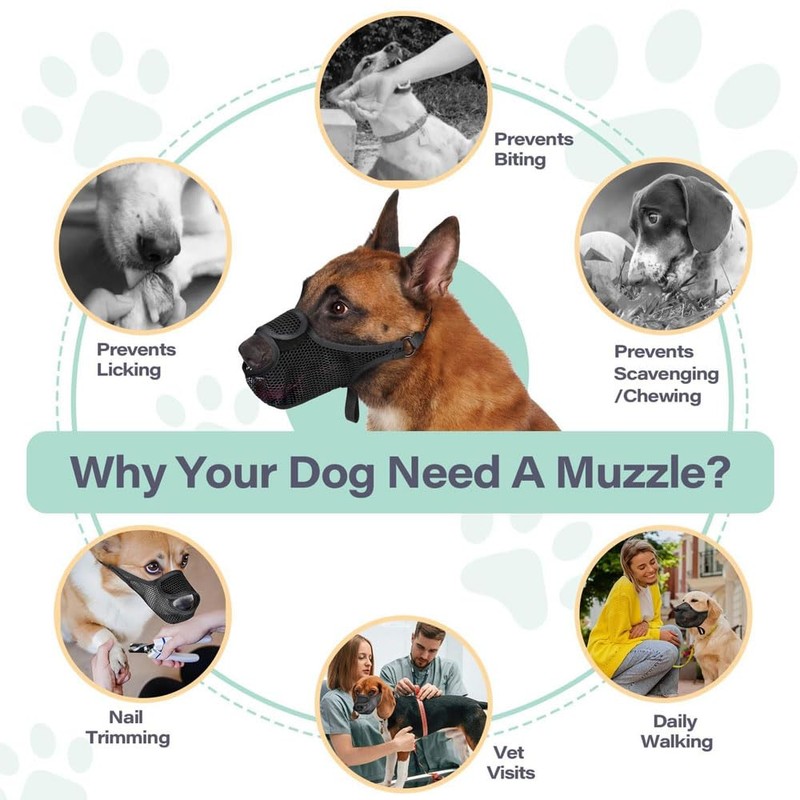 FDEETY Muzzle for Dogs, Adjustable Loop, Breathable Mesh, Prevents Biting,