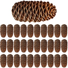 Rcanedny 30 Pieces Large Christmas Snow Pine Cones Natural Pine Cones Natural Pinecones for Christmas Party Ornament DIY Crafts Home Decoration (6-8 cm)