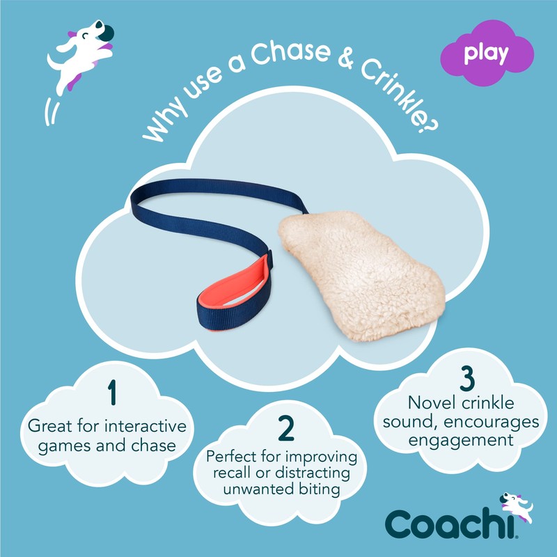 Coachi Chase & Crinkle - A Fun Enrichment Dog Toy