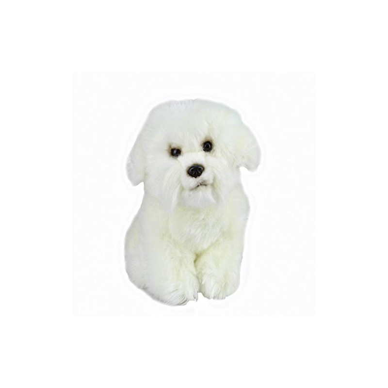 Bichon Frise Soft Toy 12"