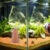 PATKAW 1 Set Spawning Bucket Discus Spawning Cone Fish Breeding