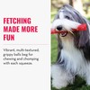 KONG - Squeezz Ball - Strong Squeaky Dog Toy, Bounces