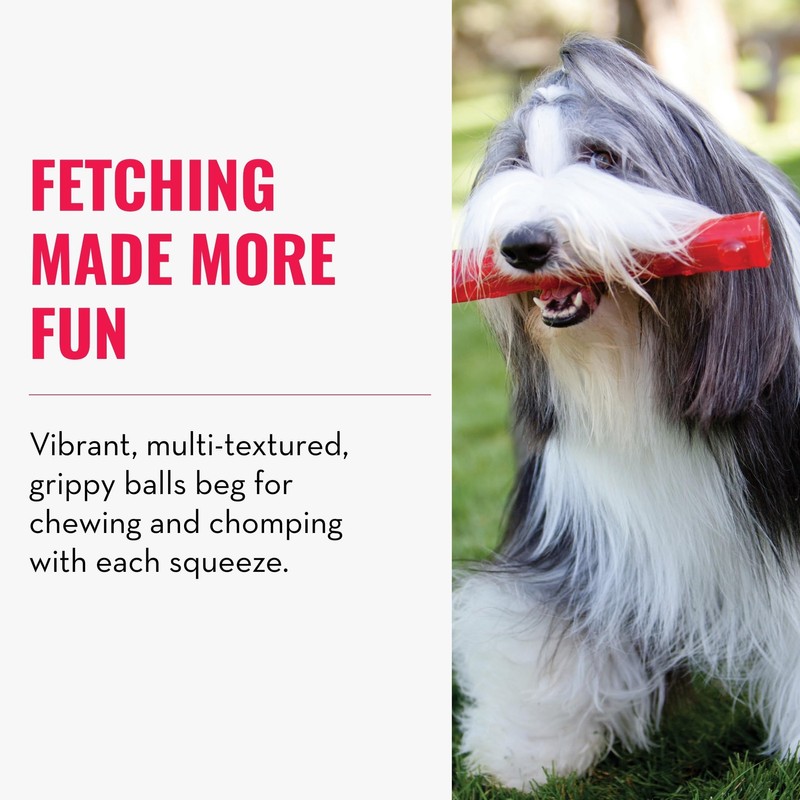 KONG - Squeezz Ball - Strong Squeaky Dog Toy, Bounces
