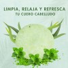 Shampoo Sólido Refrescante Orgánico De Eucalipto Y Menta