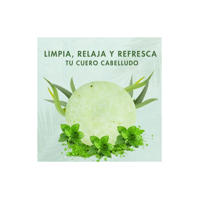 Shampoo Sólido Refrescante Orgánico De Eucalipto Y Menta