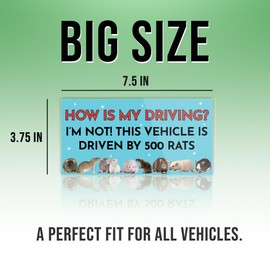 (7.5x3.75in) How is My Driving I'm Not This Vehicle is Driven by 500 Rats Blue Funny Bumper Sticker for Car Truck, Waterproof UV-Resistant