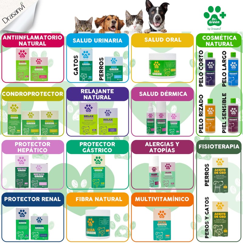 Dermagreen Skin 50 ml DR Green